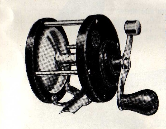 best reel for young woman saltwater fishing Saltwater Spinning Reels: A Beginner's Guide for 2026